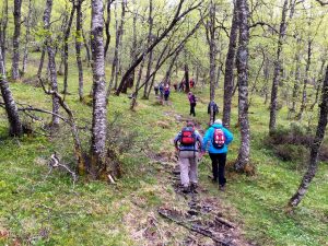 Vandringsdamer på fjellet 1
