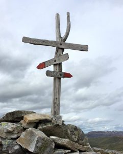 Vandringsdamer på fjellet 2