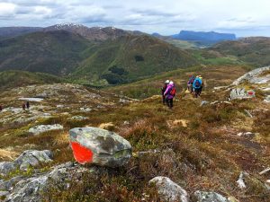 Vandringsdamer på fjellet